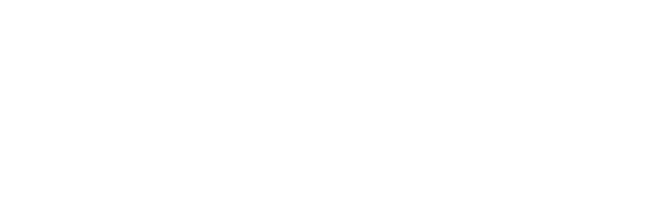 Bison Bank